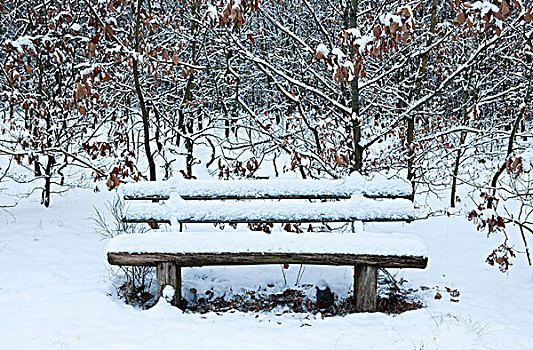 长椅,积雪