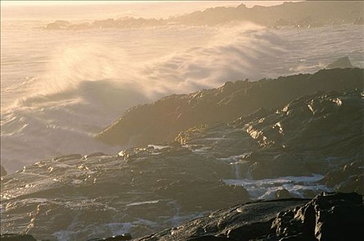 波浪,大西洋,海岸,西海岸,公园,北开普,南非