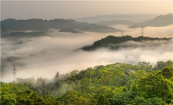 风景,雾气