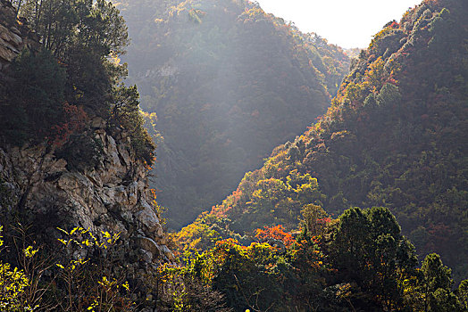 秦岭秋色