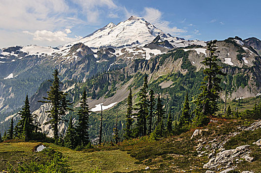 华盛顿,瀑布山,贝克山,风景,艺术家