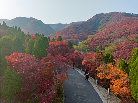 航拍济南红叶谷景区