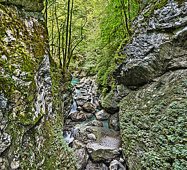 峡谷,路线,特拉维夫,国家公园,斯洛文尼亚,欧洲