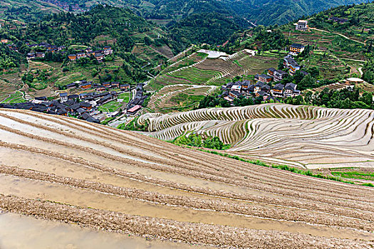 龙脊梯田