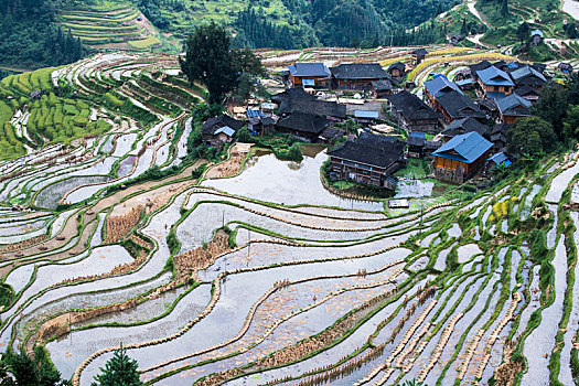 加榜梯田