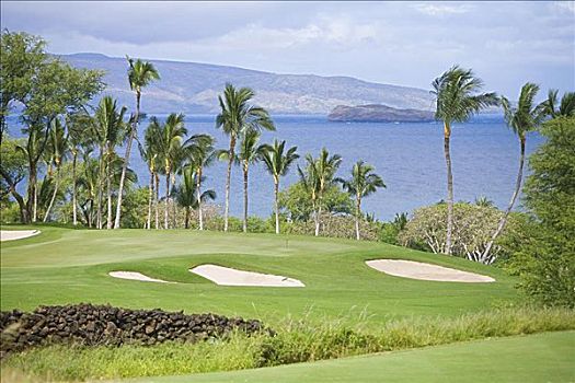 夏威夷,毛伊岛,黄金,高尔夫球场,棕榈树,线条,场地,海洋