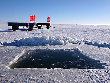 达里湖冰捕
