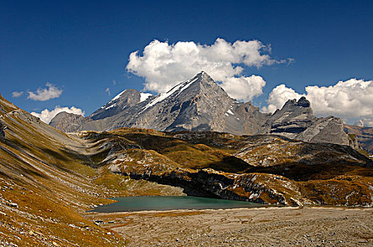 湖,顶峰,山,伯尔尼阿尔卑斯山,瑞士,欧洲
