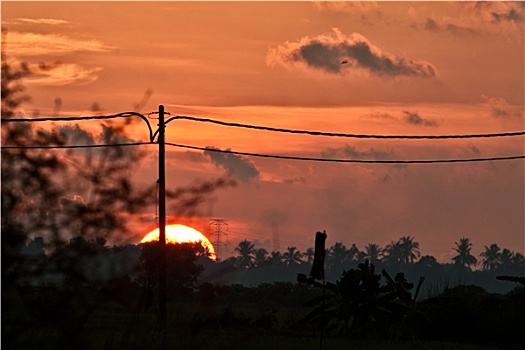 日落,乡村,马来西亚