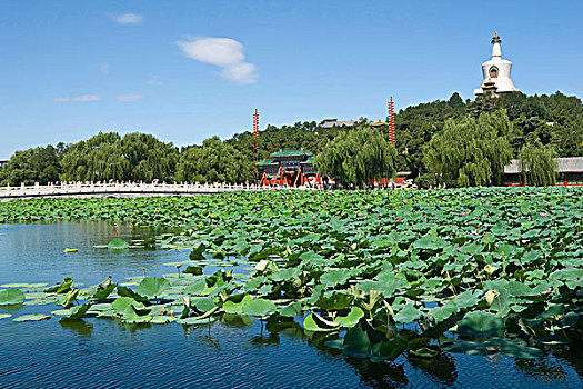 北海公园,北京,中国,亚洲
