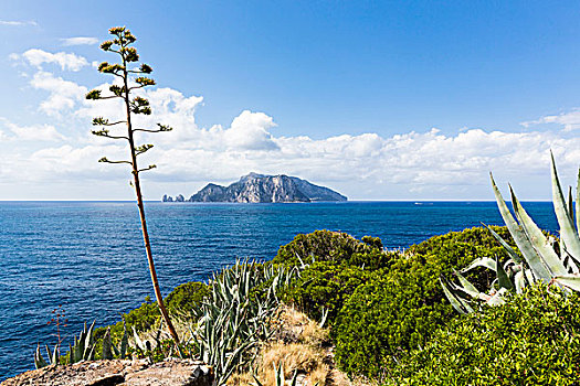 風景,卡普里島,索倫托,半島,海岸,坎帕尼亞區,意大利