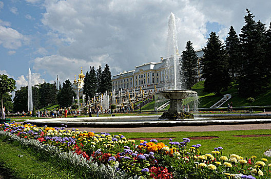 宫殿,彼得夏宫,圣彼得堡,俄罗斯,欧洲