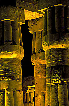 埃及,路克索神庙,荷花,柱子,夜晚,卢克索神庙