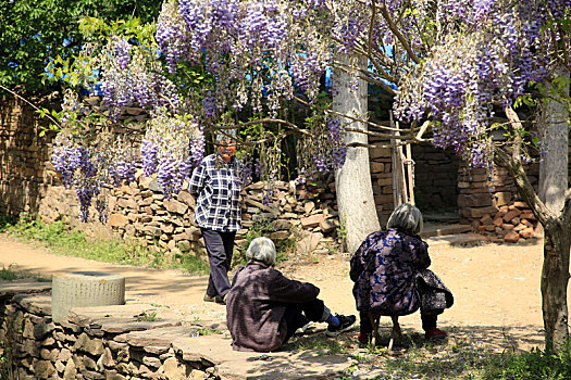 600年的古村落焕发生机,五一假期成了游客热门打卡地