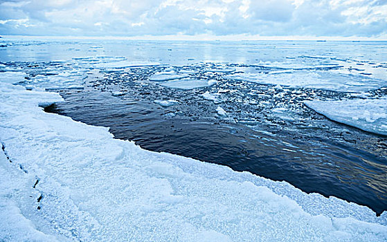 冬天,海边风景,漂浮,冰,安静,海水,海湾,芬兰,俄罗斯