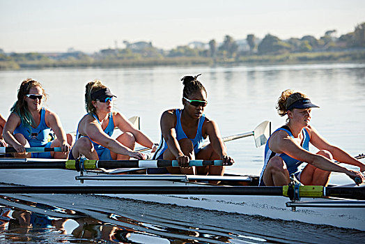 女性,桨手,划船,短桨,晴朗,湖