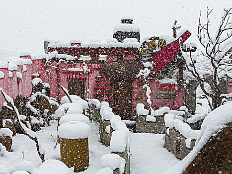 飞雪迎春到