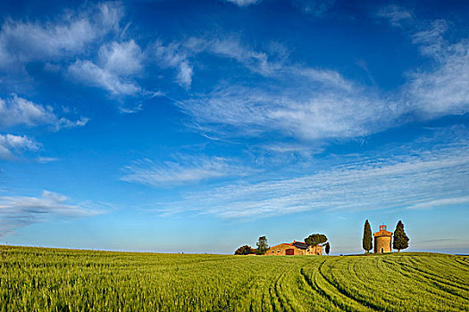 小教堂,农舍,柏树,绿色,地点,锡耶纳省,托斯卡纳,意大利