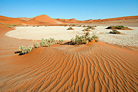 沙丘,纳米布沙漠,纳米比诺克陆夫国家公园,索苏维来地区,纳米比亚,非洲