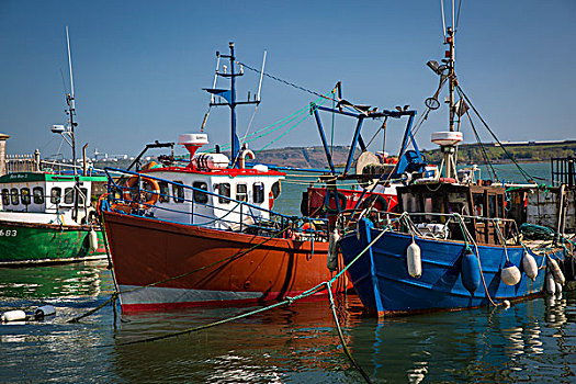 渔船,小,港口,科夫,科克郡,爱尔兰