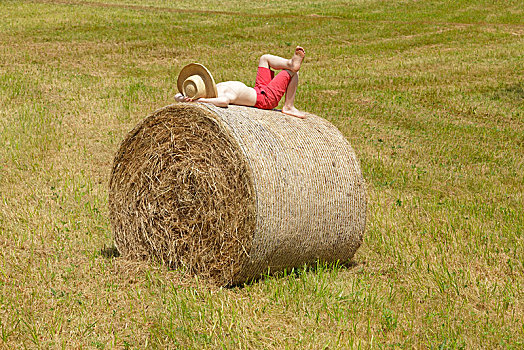 男孩,躺着,大捆,稻草,德国,欧洲