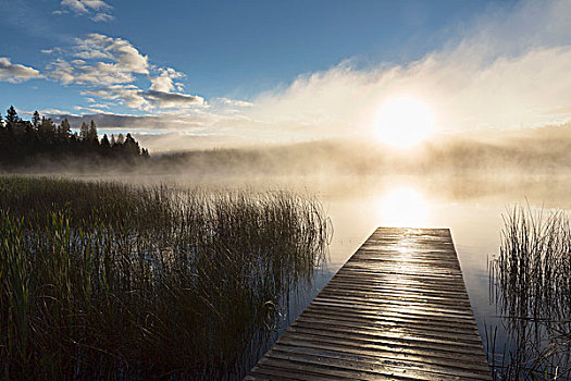 日出,上方,湖,山,国家公园,加拿大