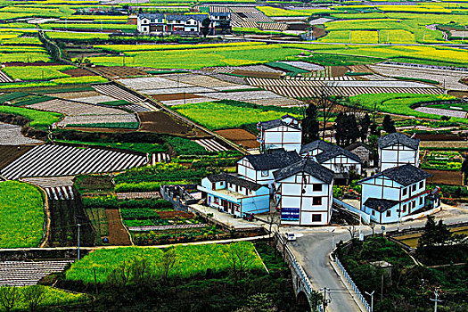 万峰林的村庄
