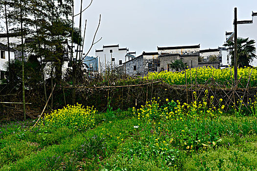 思溪延村民居建筑