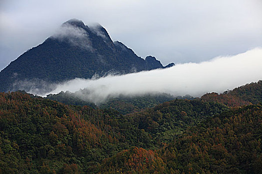 五指山风光