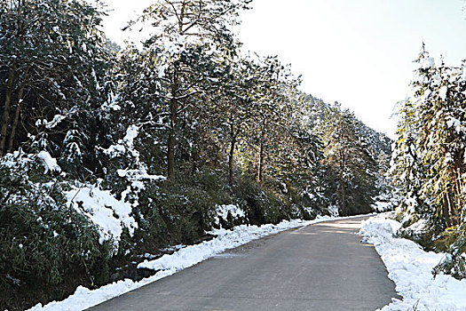 雪山道路