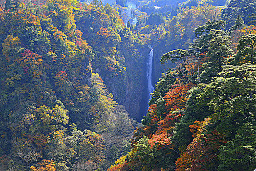 日本