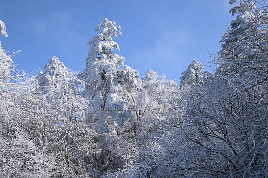 雪