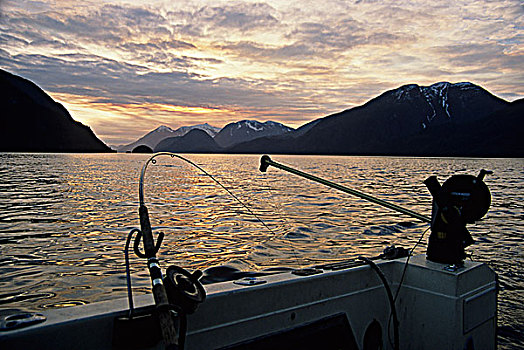 三文鱼,钓鱼,日落,不列颠哥伦比亚省,加拿大