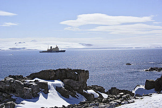 破冰船,水上,半月,岛屿,南极