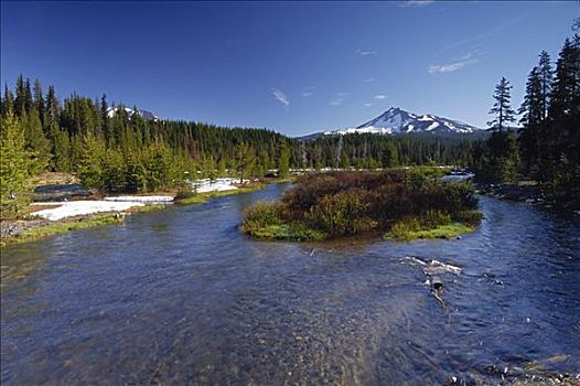 河流,德斯舒茨国家森林,南,姐妹,背景,俄勒冈,美国