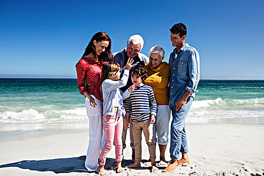 可爱,家庭,看,智能手机,海滩