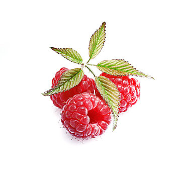 甘美,成熟,红色,树莓