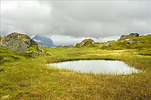 小,湖,荒野,罗弗敦群岛,挪威