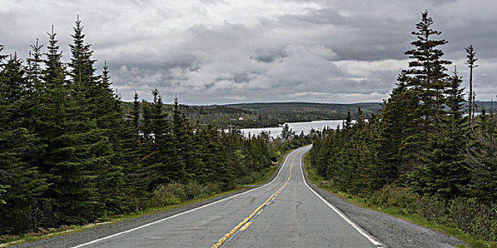 风景,道路,河,阴天,海洋,驾驶,新斯科舍省,加拿大