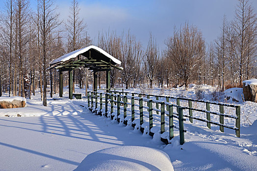 雪景