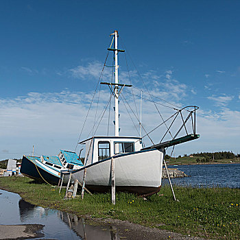 渔船,港口,布雷顿角岛,新斯科舍省,加拿大