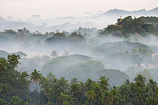 塔,庙宇,围绕,树,雾气,地区,若开邦,缅甸,亚洲