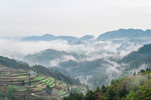 重庆酉阳,青山雾漫别样美