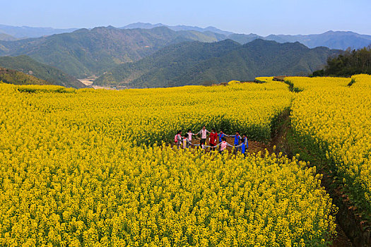 宁海,岔路镇,油菜花,田园,田野,春天,学生,春游,王爱山,乡村