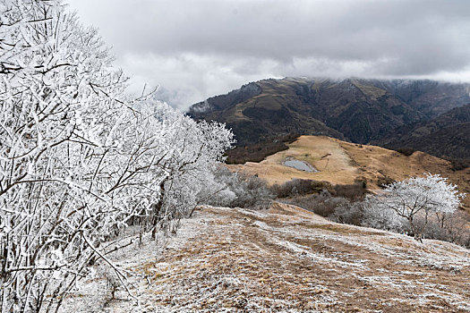 四川阿坝卧龙镇甘海子雪景全景