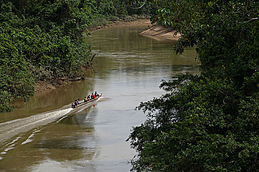 猎人,河,国家公园,亚马逊雨林,厄瓜多尔,南美