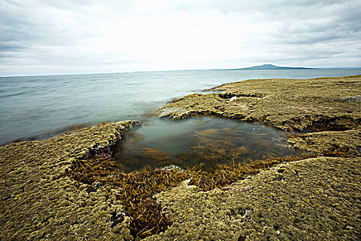 水池,岩石,海滩