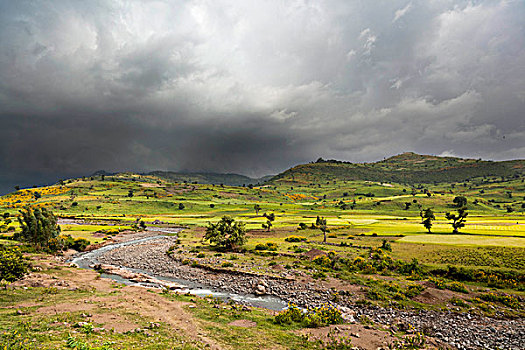 风景,贡德尔,湖,埃塞俄比亚