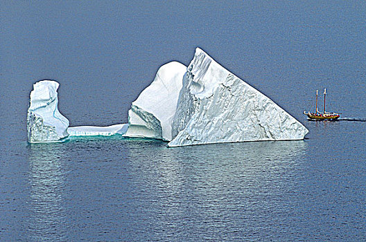 冰山,帆船,纽芬兰,加拿大