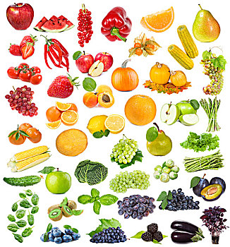 水果,浆果,药草